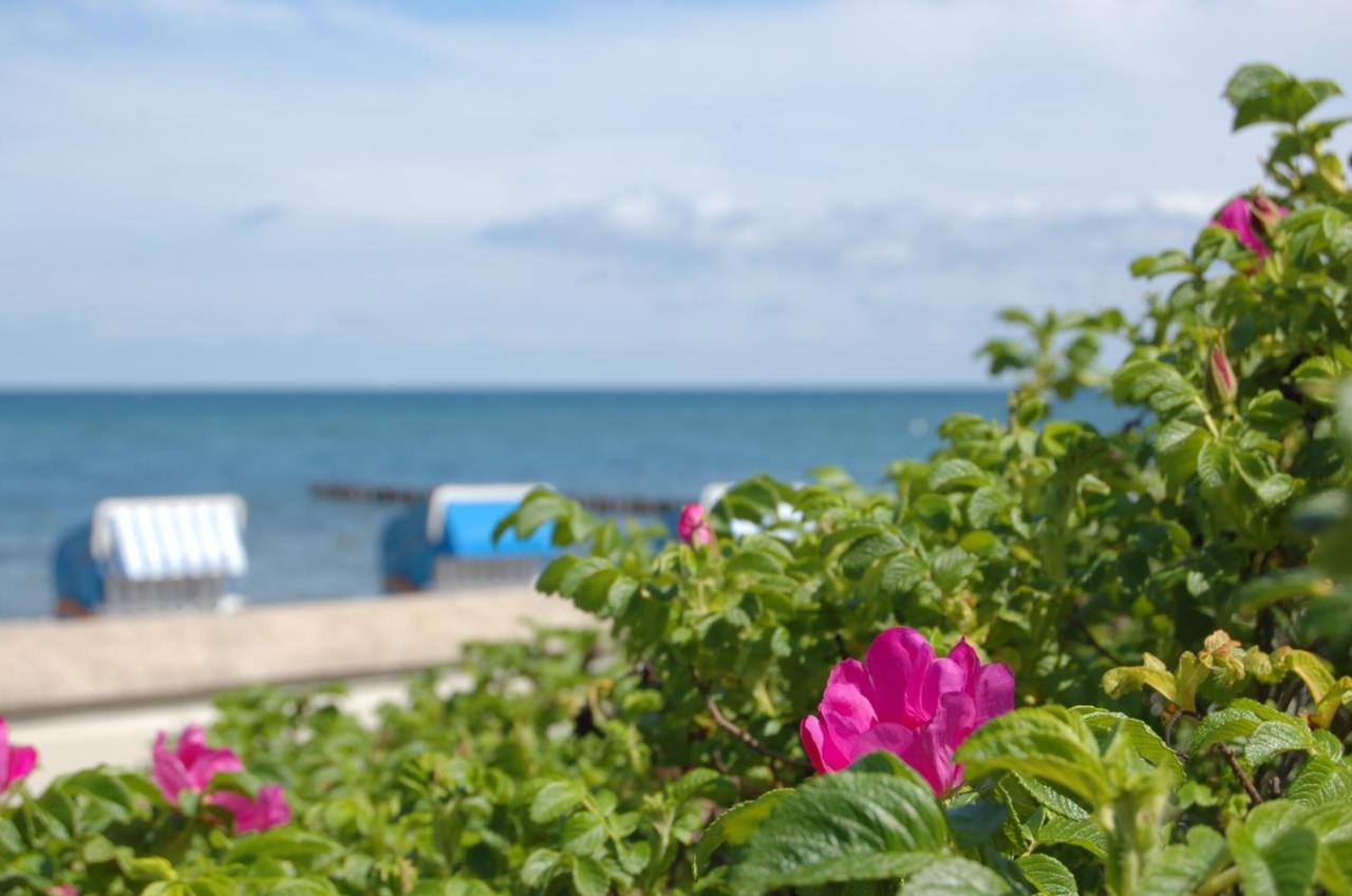 Ostseebad Kühlungsborn Hotel Am Strand מראה חיצוני תמונה